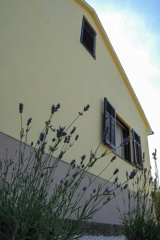 Kuca Za Odmor Dido Ive Villa Ugljan Holiday home
