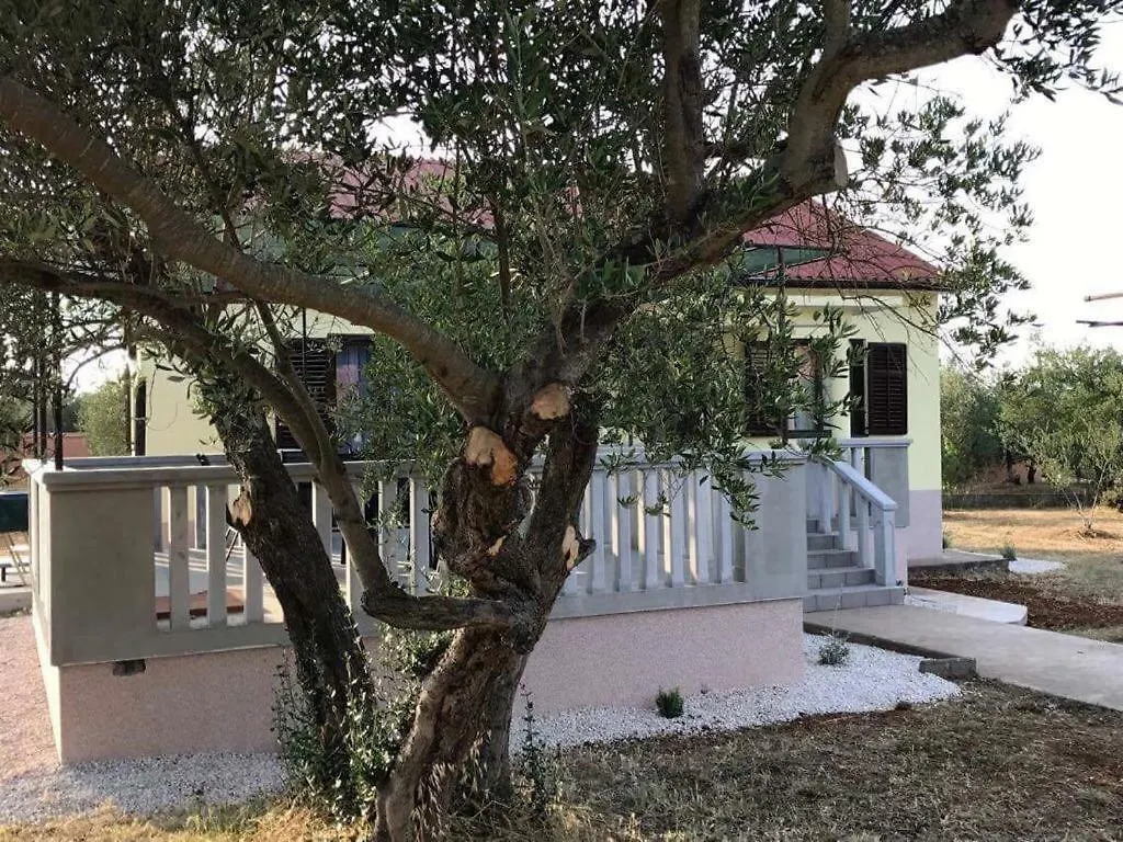 Holiday home Kuca Za Odmor Dido Ive Villa Ugljan